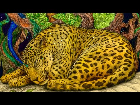 Fherley Majin- La Naturaleza y la Medicina