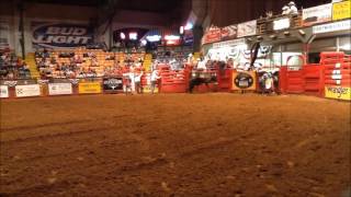2016 Benny Binion's Bucking Horse & Bull Sale - Bull Promo