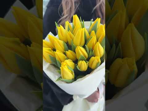 видео 25 желтых тюльпанов