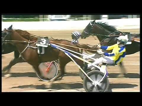 Trotto 31/05/2020 - 1ª corsa