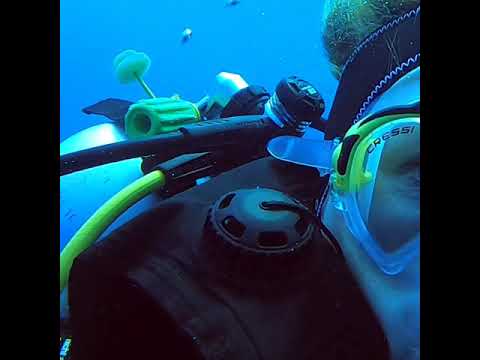 Azur Resort Hausriff Nord 02.12.2019