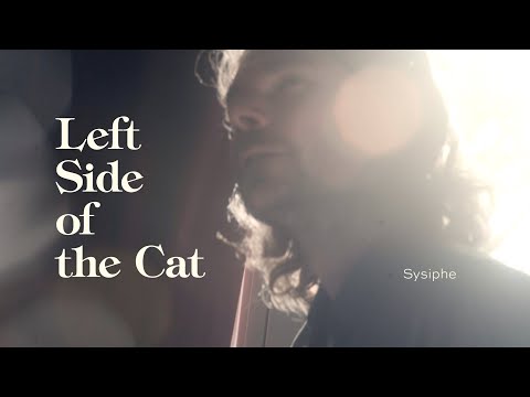 Left Side Of The Cat Sisyphe