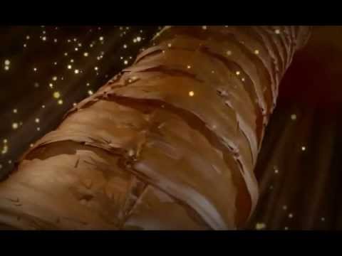 Keratinology Hair Spa Mask