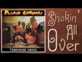 Flamin' Groovies - Shakin' All Over