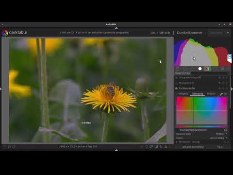 Darktable ( die Farbbereiche bearbeiten )