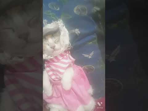 Very cuteness 😍🥰