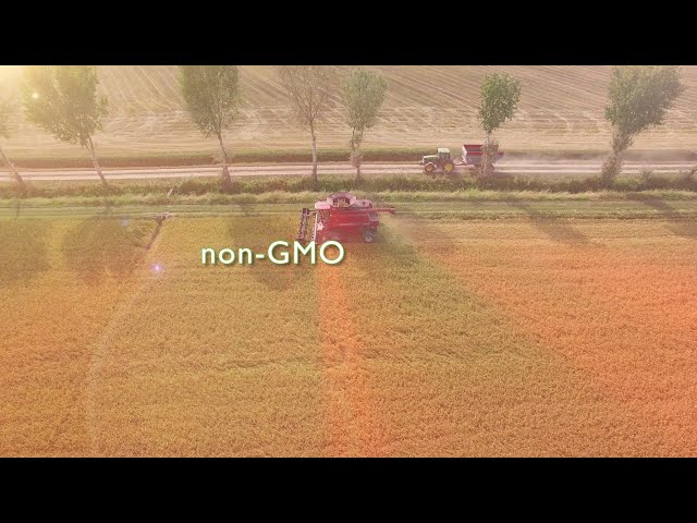 imagen-video-thefoodtech