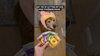 Day 100 Hidden Fates with CRAZY luck!! 🤯🔥 #pokemon #pokemoncards #pokemoncommunity #dog #pokemontcg
