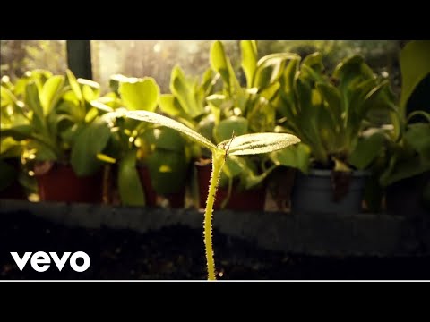 Aquilo - Our Bones Turn To Stone