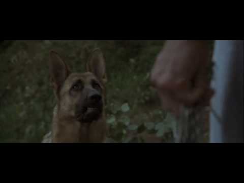 Stare Down in BAD MOON (1996)