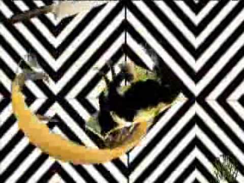 DAVID SCALONI - REVOLUCIONARIO ( SHEEHAN & CLAUSEN REMIX)