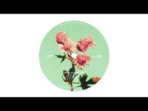 Soultight - Forever (feat. T.W.O) [Official Audio]