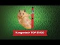 Kangertech TOP EVOD Kit - электронная сигарета - превью -HKcSAhlK_I