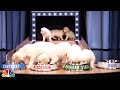 Puppies Predict the 2015 Final Four Championship.