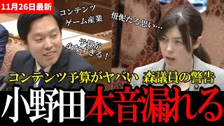 【最新国会】国民民主党 森議員が小野田大臣に鋭く迫る！コンテンツ予算“韓国の3分の1”を追及！GDPR・偽グッズ・カルチャライズ問題を一気に指摘し、小野田大臣が「忸怩たる思い」と本音回答国会ざわつく！
