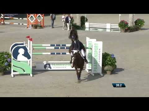 Jugano Van De Vosberg- Ogano Sitte x Clinton- Longines FEI World Breeding Championships 2021