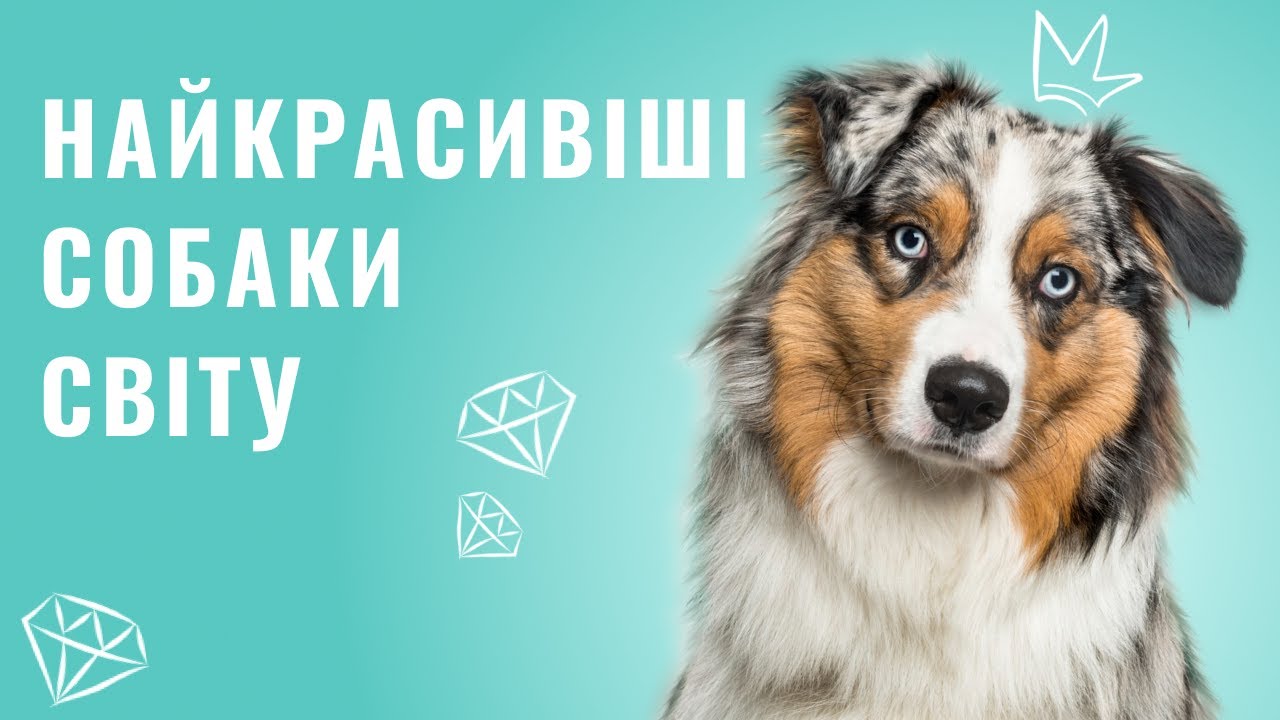 YouTube video preview