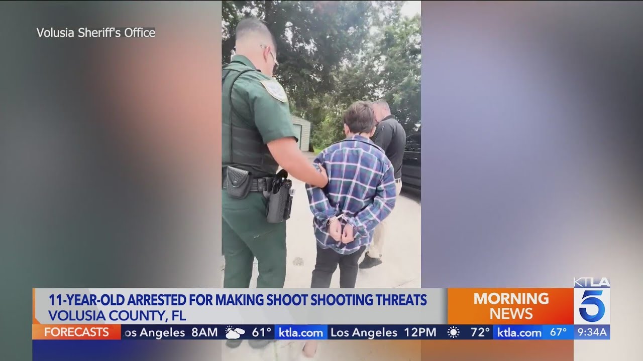 Florida sheriff fed up with school shooting hoaxes posts boy’s mugshot to social media