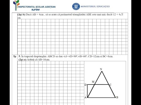 Simulare evaluare naţională ISJ Ilfov - decembrie 2022 - sub. III