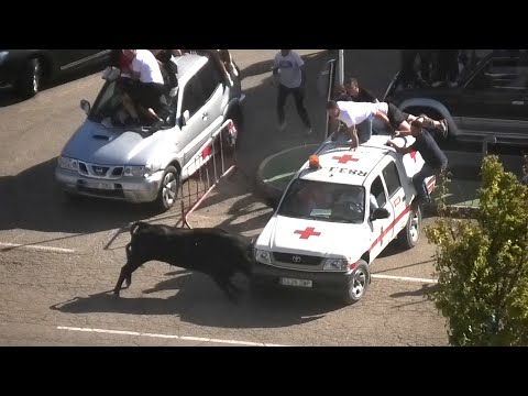 Arrabal de Portillo 2024 Los Toros Dando a Los Coches