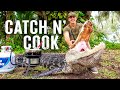 Hunting GIANT ALLIGATORS In FLORIDA Chick Fil A Sauce Recipe