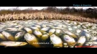 Señales en la tierra y en el cielo.