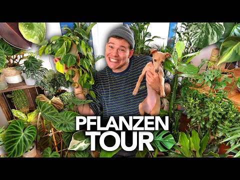 XXL PFLANZEN-TOUR DURCH'S KOMPLETTE HAUS | Joey's Jungle Plants