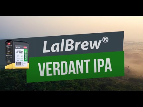 Откройте для себя элевые дрожжи LALBREW® VERDANT IPA