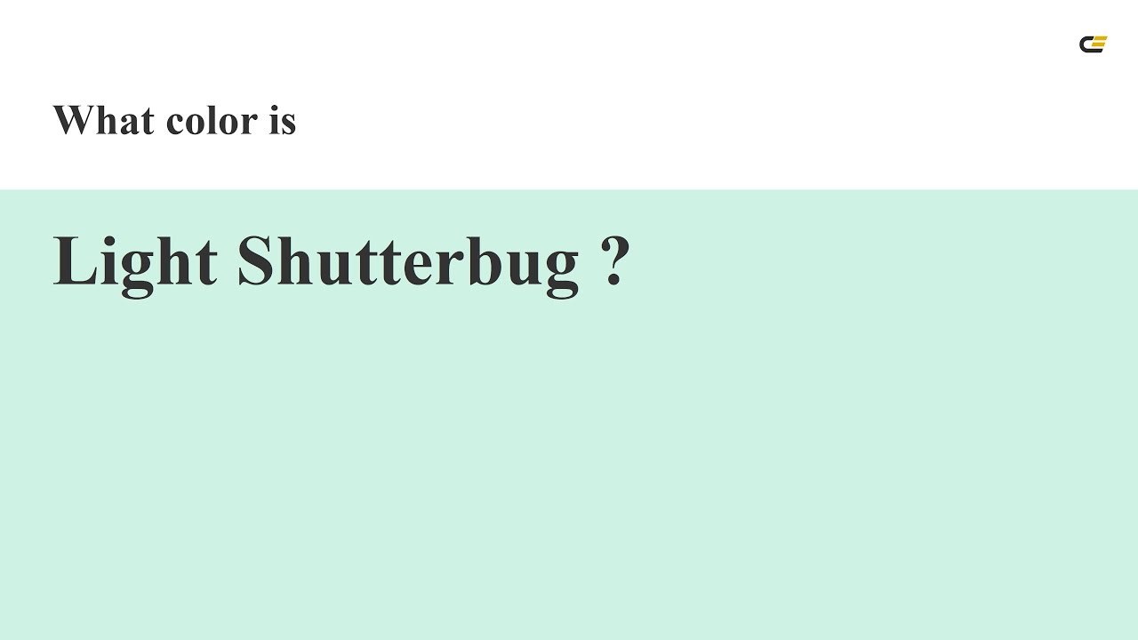 Light Shutterbug color #cef2e4 hex color - Green color - Warm color cef2e4