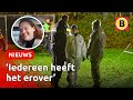 De BIZARRE ZAAK van Silvana Heber | Omroep Brabant