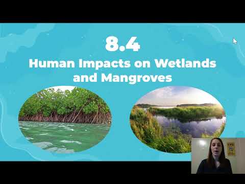 8.4 Notes - Human Impacts on Wetlands and Mangroves