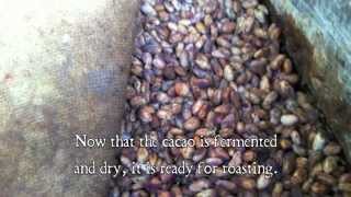 preview picture of video 'Chocolate Processing: Travel to Ecuador and Learn About Chocolate Processing'