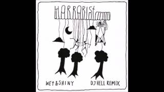 The Horrorist - Wet &amp; Shiny (DJ Hell&#39;s 2013 Rework)