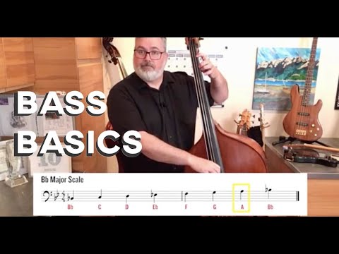 BASS BASICS: Double Bass Technique for Beginners