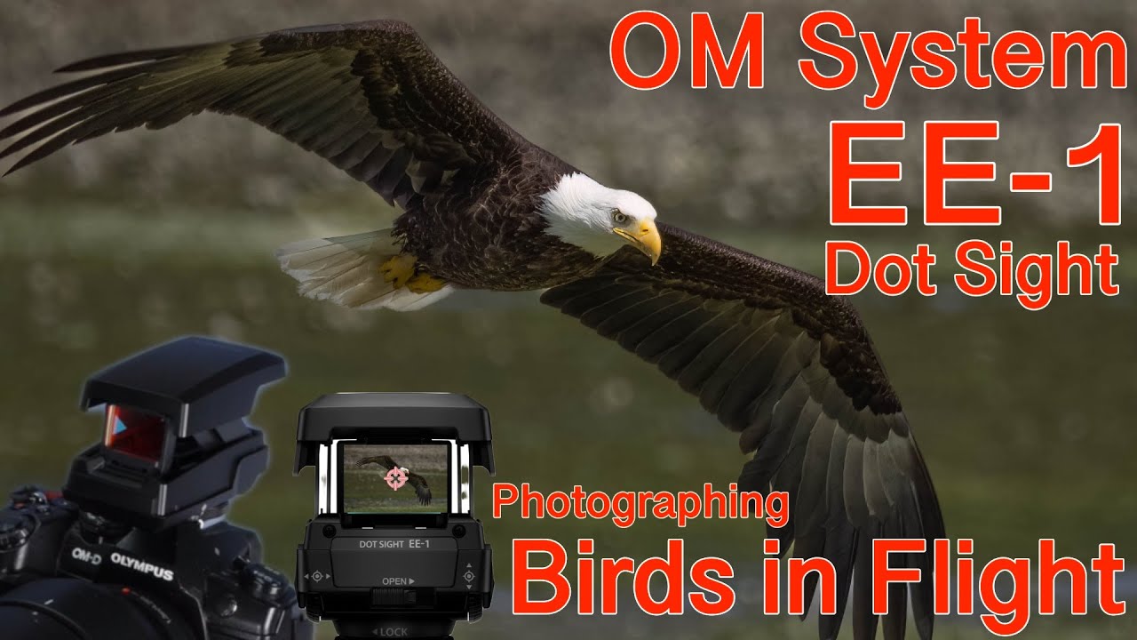 OM Systems / Olympus EE-1 Dot Sight: An Essential Tool for Wildlife Photography