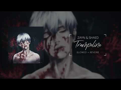 zayn & SHAED - Trampoline (s l o w e d + r e v e r b)