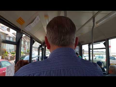 🦕🦕*beast* Preserved dart W702 BFV