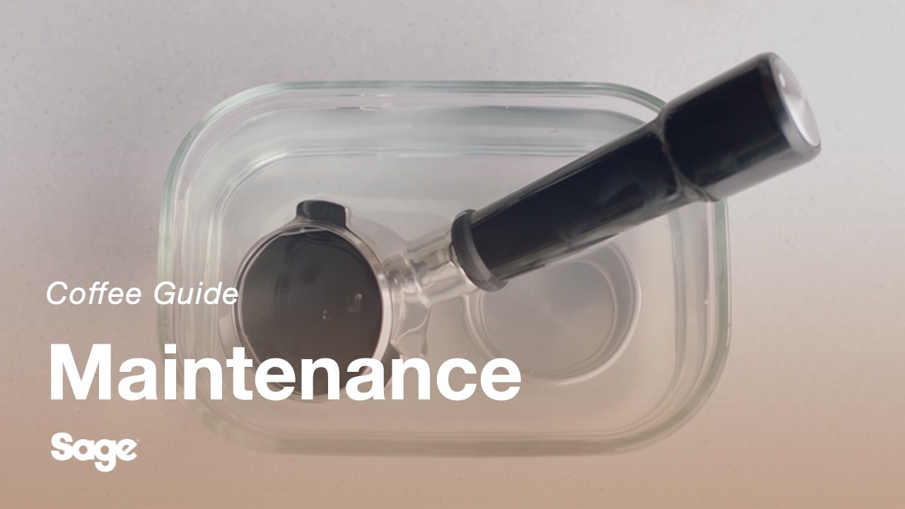 How to clean portafilter and filter basket