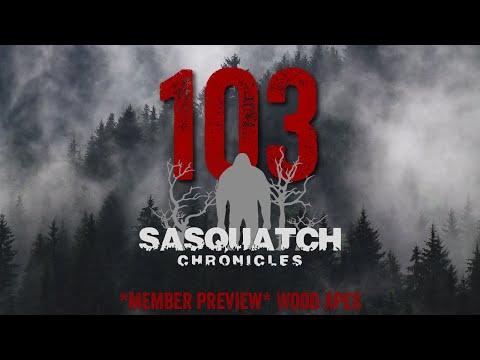 SC EP:103 Wood Apes [Members] PREVIEW