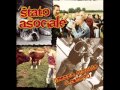 Stato Asociale - Me ne Vanto, Me ne Frego 