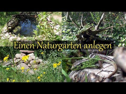 , title : 'Einen Naturgarten anlegen | Grundlagen für den naturnahen Garten'