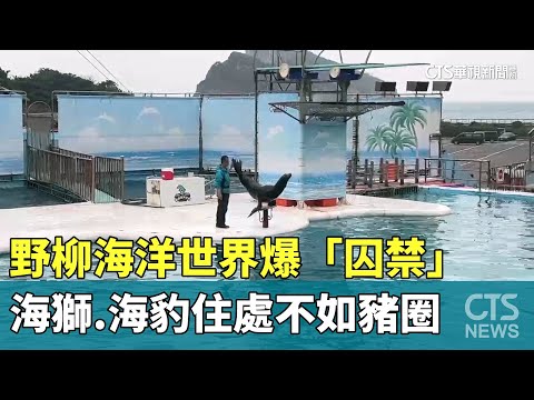 野柳海洋世界爆「囚禁」　海獅.海豹住處不如豬圈