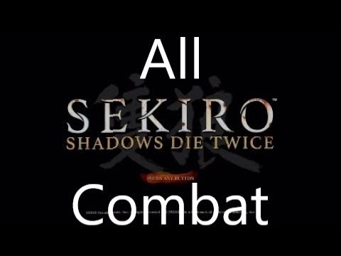 Sekiro Critique: All Combat
