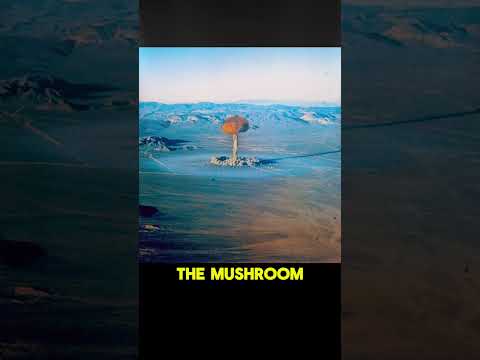 928 Nuclear Tests in Nevada