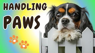 How to Trim a Cavalier's Nails When They Hate It