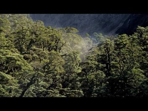 Forests and People
