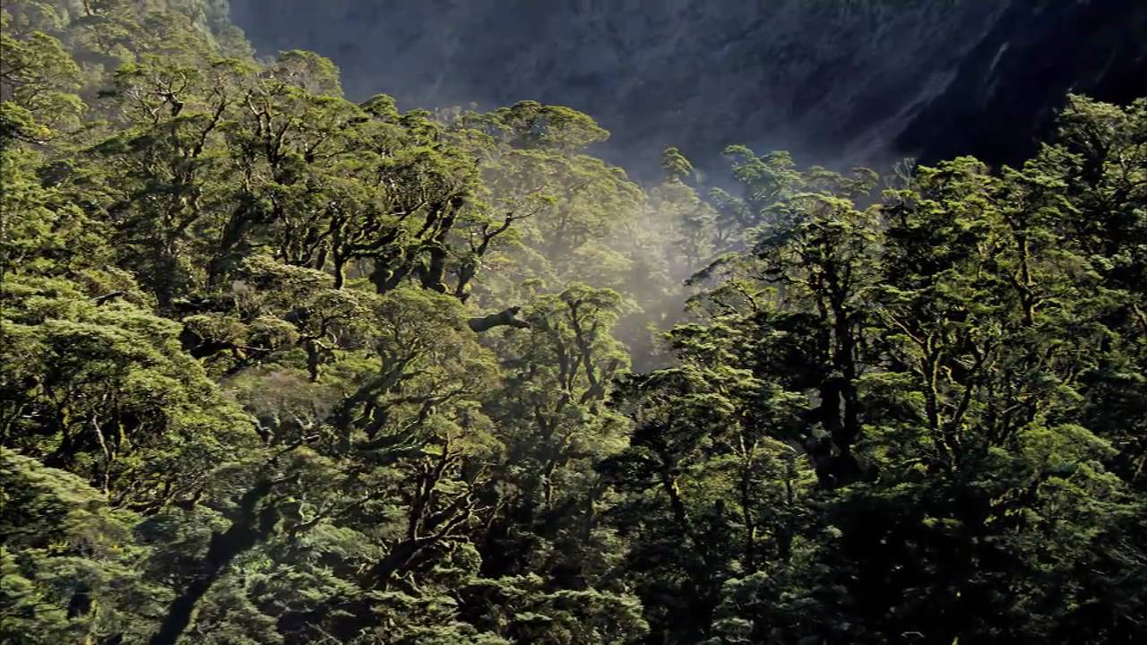 Of Forests and Men [US - Edward Norton]