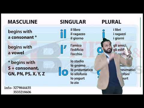 Articoli determinativi IL - L' - LO |Learn Italian with Nita and brothers |patente b in punjabi