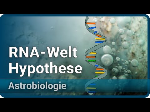 RNA World Hypothesis • Origin of Life • Proto-ribosomes • Astrobiology (4) | Aleksandar Janjic