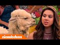 De Thundermans | McBooger rampzalige meidenavondje! | Nickelodeon Nederlands